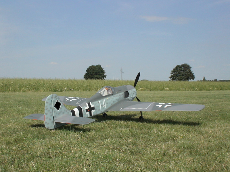 FW 190 170 cm
